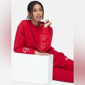 ♥️Wildfox On the naughty list Cody sweatshirt NWT